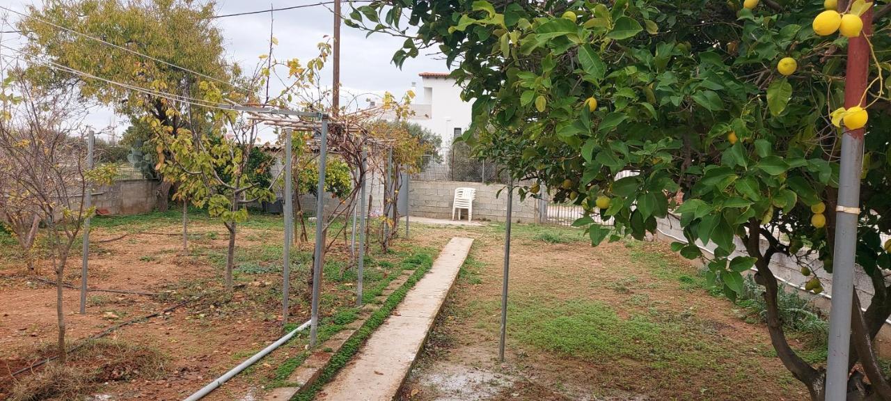ארטמידה Melina'S Comfort Rustic Home מראה חיצוני תמונה